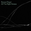 Roman Flugel - Fantasy