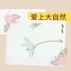 背景音 - 爱上大自然