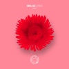 Lian B - Endless