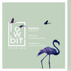Forniva - Flamingo