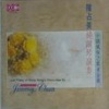 陈占美 - 顺流逆流