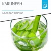 Karunesh《A Journey to India》[MP3/LRC]