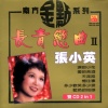 张小英 - 泪的小花