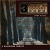 3 Doors Down - Kryptonite