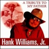 Hank Williams, Jr.《Honky Tonkin'》[MP3/LRC]