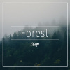 Clarv《Forest》[MP3/LRC]