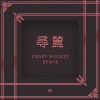buckit 陈楒潼、Jiaye、张天奕ZTYick - 寻麓 (Crazy Bucket Remix)