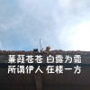 小vie - 一醉一世之白露为霜