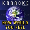 Tracks Planet - How Would You Feel (Karaoke Version)