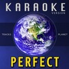 Tracks Planet - Perfect (Karaoke Version)