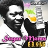 B.B. King《You Done Lost Your Good Thing Now (Remastered)》[MP3/LRC]