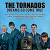 the tornados - Dreams Do Come True