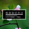 冷雨儿、洗衣粉 - 感谢曾经来过