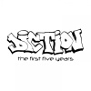 Diction - Recognise The Strength