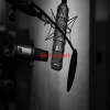 Various Artists - Be Yourself (Complete version originally performed by Audioslave)