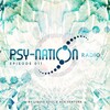 Astrix、Ace Ventura - Valley of Stevie (Perfect Stranger Remix)