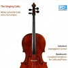 John Chen、Niklas Schmidt - Arpeggione Sonata in A Minor, D. 821: I. Allegro moderato