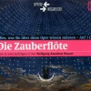 Friederike C. Raderer - Die nackten Tatsachen