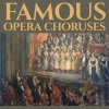 Radio Symphony Orchestra Ljubjlana、Choir and Orchestra of the Budapest State Opera、Marko Munih、Josif Conta - Soldiers' Chorus (La Forza Del Destino)