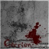 Pain《Carrion (Explicit)》[MP3/LRC]