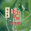 张小磊 - 自罚三杯不提你