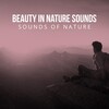 Sounds Of Nature - Wildlife Cries By The River