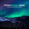 Sleep Songs with Nature Sounds - Autumn Ice Rain
