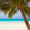Masajes Spas、Dormir e Meditar、Meditação Zen - Life in the Tropics