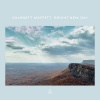 Jana Herzen、Charnett Moffett - Precious Air