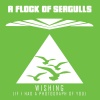 A Flock of Seagulls - Wishing (If I Had A Photograph Of You)(Extended Remix)