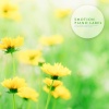 흰수염고래 - 바다와 달빛