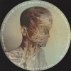 Segler、Mushroomer - Final Decision