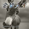 精彩樊兵、DJ小星星 - 听说你最近找过我