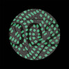 Wa Wu We、Sebastian Mullaert - Wa Wu We 002 A1