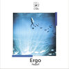 Fedorf - Ergo