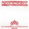 Panteros666、Aamourocean - About You feat. NASTA