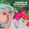 Calming Water Consort、Gentle Baby Lullabies World - Mother Earth Sounds for Baby