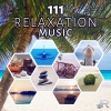 Relaxing Zen Music Ensemble《Relaxation Music》[MP3/LRC]