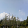 郑阳阳 - 生活