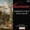 Slovak State Philharmonic Orchestra、Johannes Wildner - Symphony No. 2 in C Major, Op. 61: I. Sostenuto assai - Allegro ma non troppo