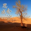 7姐、雨诺、王恒东 - 你一定要幸福 (DJ版)