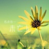 歌者陈一 - 未亡人 (伴奏)