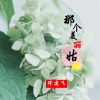缪建飞 - 那个美丽姑娘
