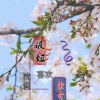 青乐 - 波妞喜欢宗介