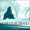 Soothing Music Academy《Natural Sleep Aid》[MP3/LRC]