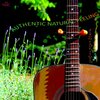 Antoine Binant、Eric Auneau - Authentic Natural Feeling