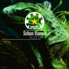 Sebas Ramos - Heal