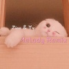 Zion、yy - 吴海啸-Melody Remix (Zion / yy remix)