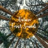 Sleeping Music Zone - Best Relaxing: Water Stream Sound