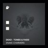 Dead-Tones、Fassi - Snake Charmers
